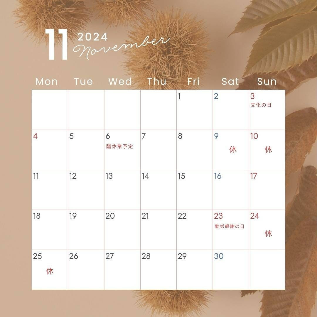 遅くなりましたが11月の予定表です。